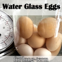 How to Water Glass Eggs